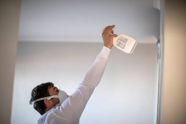Best Commercial Mold Removal  in Brunswick, NC