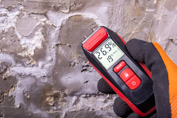 Best Mold Remediation Experts  in Brunswick, NC